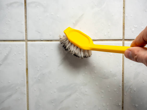 Reliable Santa Claus, IN Mold Removal Solutions